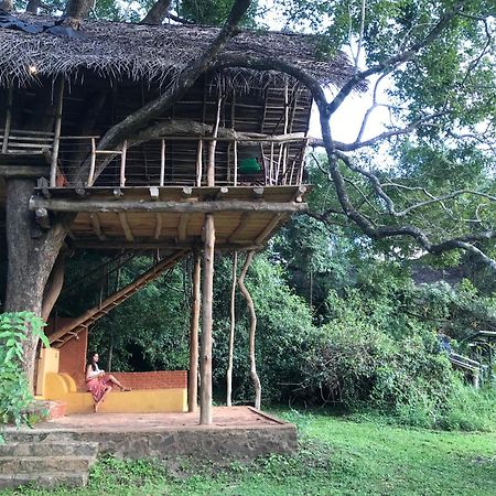 Back Of Beyond - Wild Haven Villa Sigiriya Exterior photo