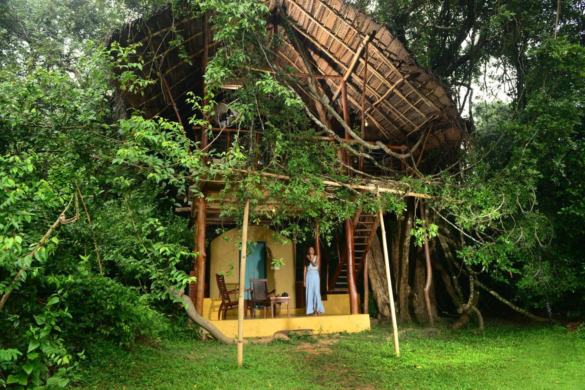 Back Of Beyond - Wild Haven Villa Sigiriya Exterior photo