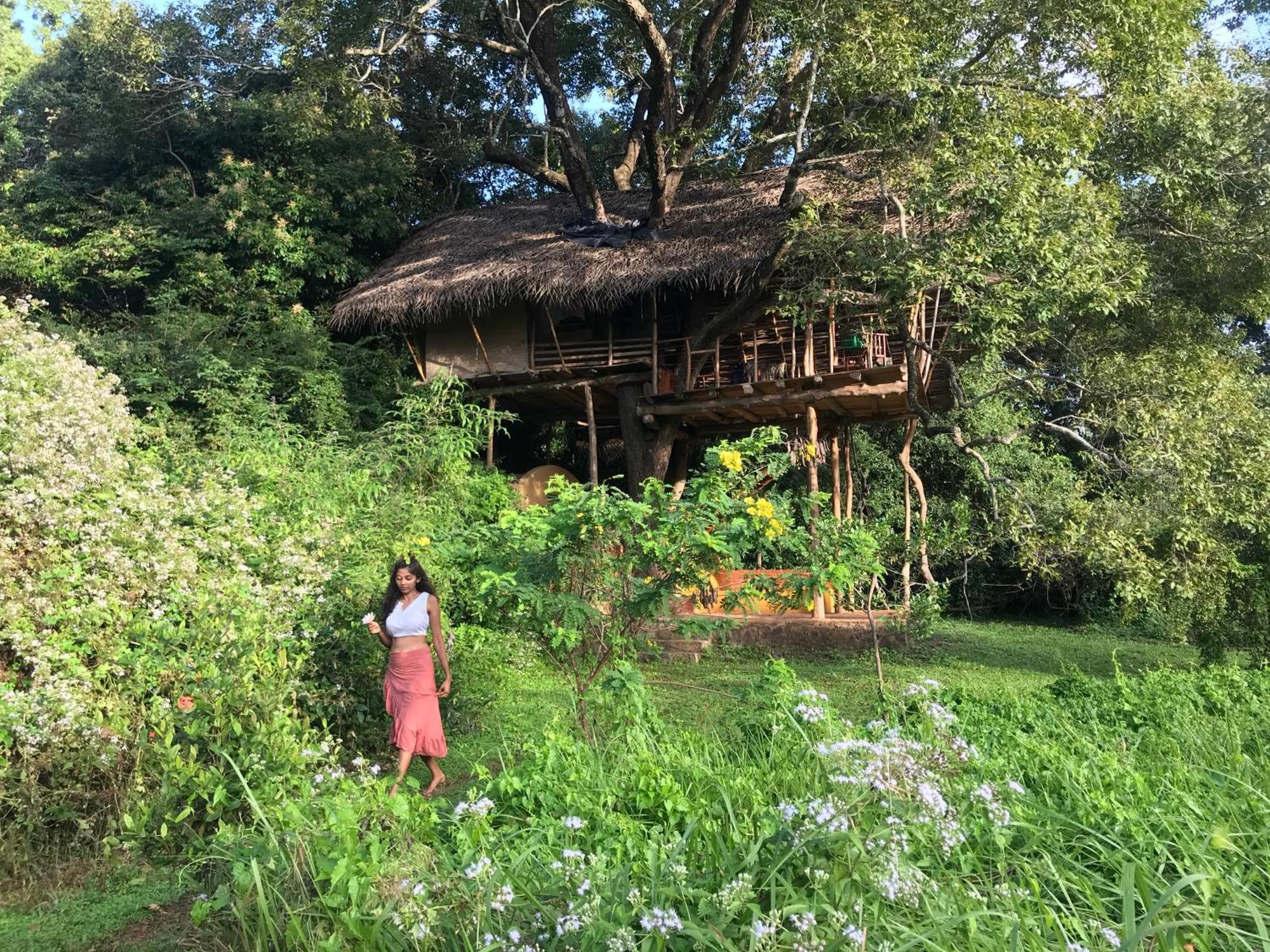 Back Of Beyond - Wild Haven Villa Sigiriya Exterior photo