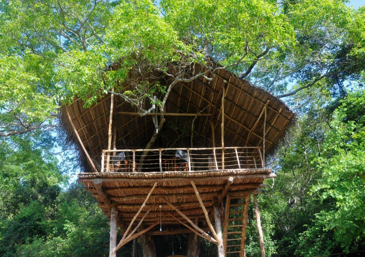 Back Of Beyond - Wild Haven Villa Sigiriya Exterior photo