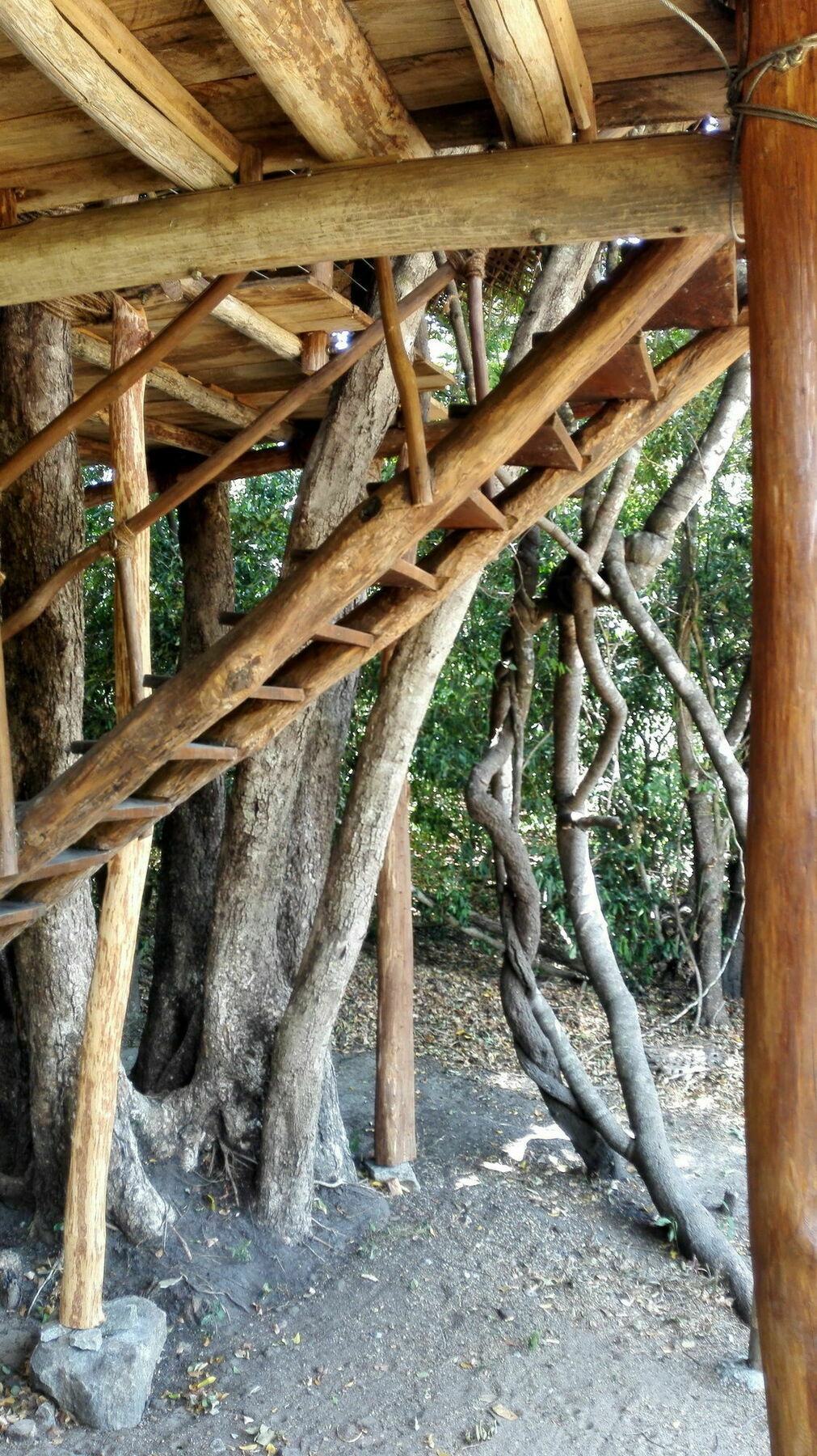 Back Of Beyond - Wild Haven Villa Sigiriya Exterior photo